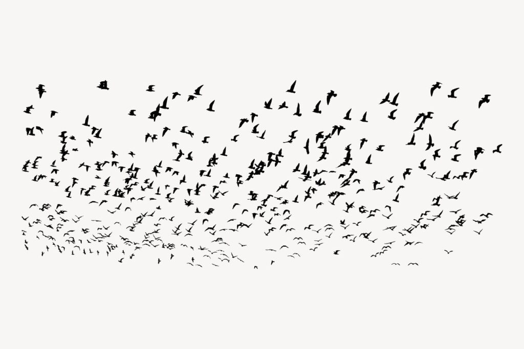 Flying birds, abstract white background